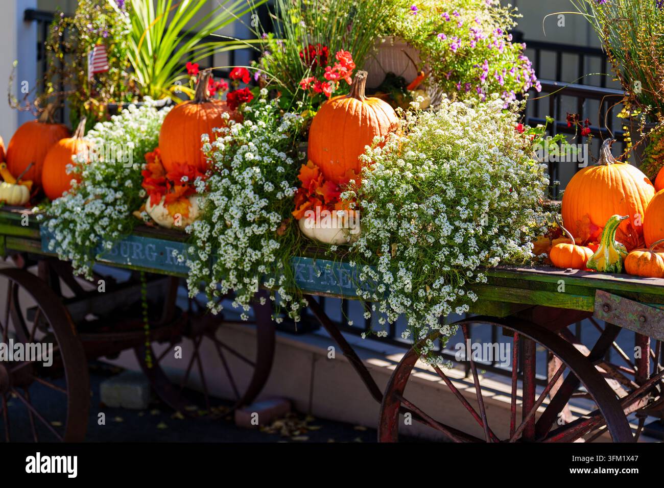 Un chariot est rempli de citrouilles et de fleurs éclatantes dans le comté de Lancaster, en Pennsylvanie. Les décorations automnales sont exposées de manière proéminente. Banque D'Images