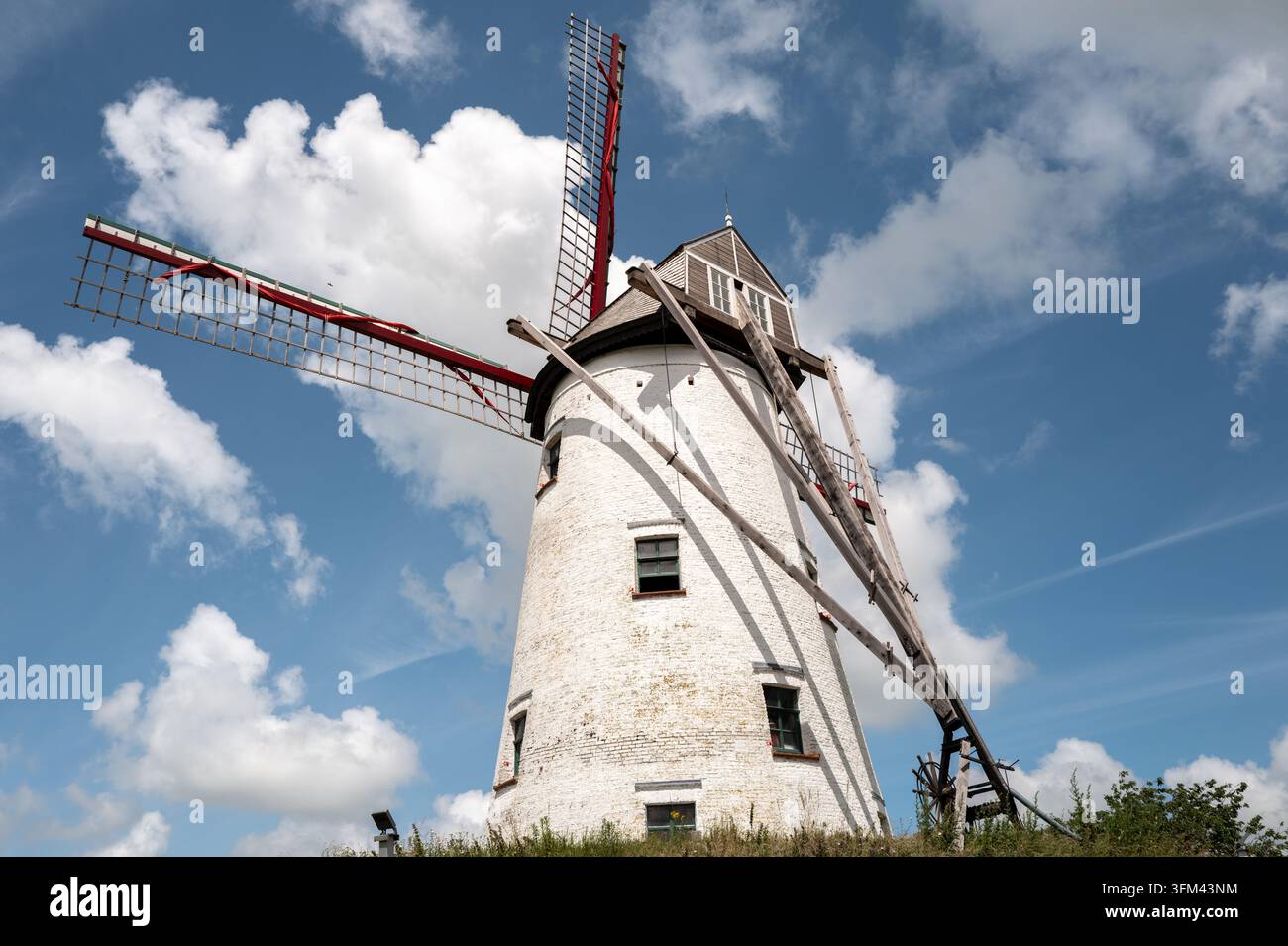 Un moulin à vent traditionnel en briques blanches se dresse sur une colline herbeuse à Bruges. Banque D'Images