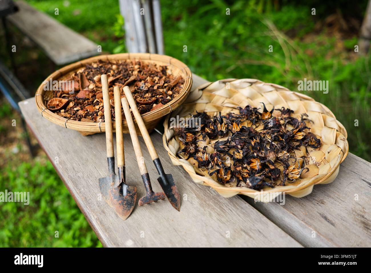 Aliments pour insectes séchés et outils de jardin disposés sur un plateau en bambou tissé en plein air Banque D'Images