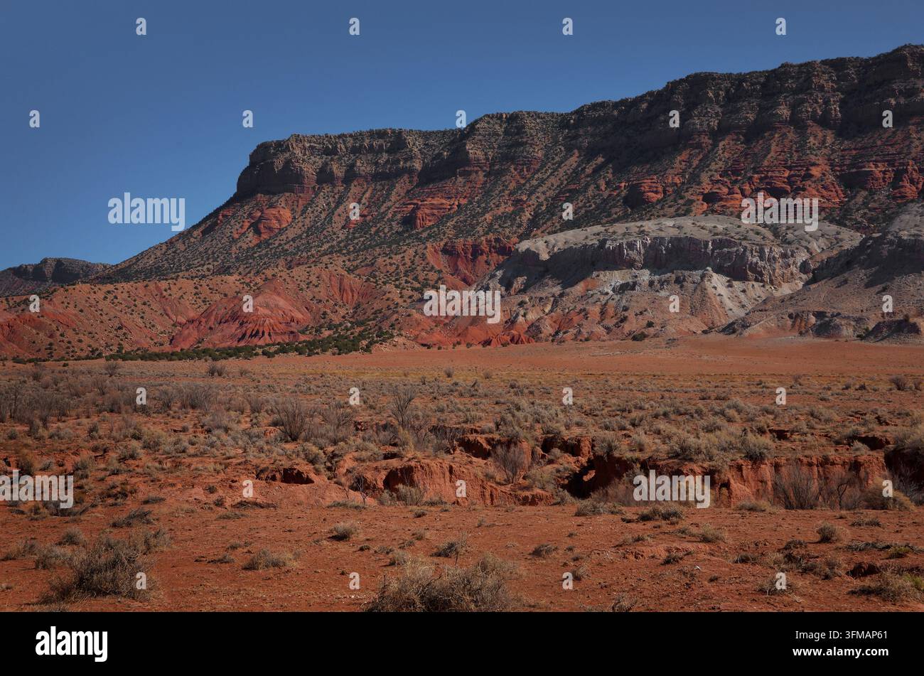 Paysage désertique étendu présentant des formations rocheuses rouges frappantes, des falaises abruptes et une végétation clairsemée sous un ciel bleu clair dans le Sud américain Banque D'Images