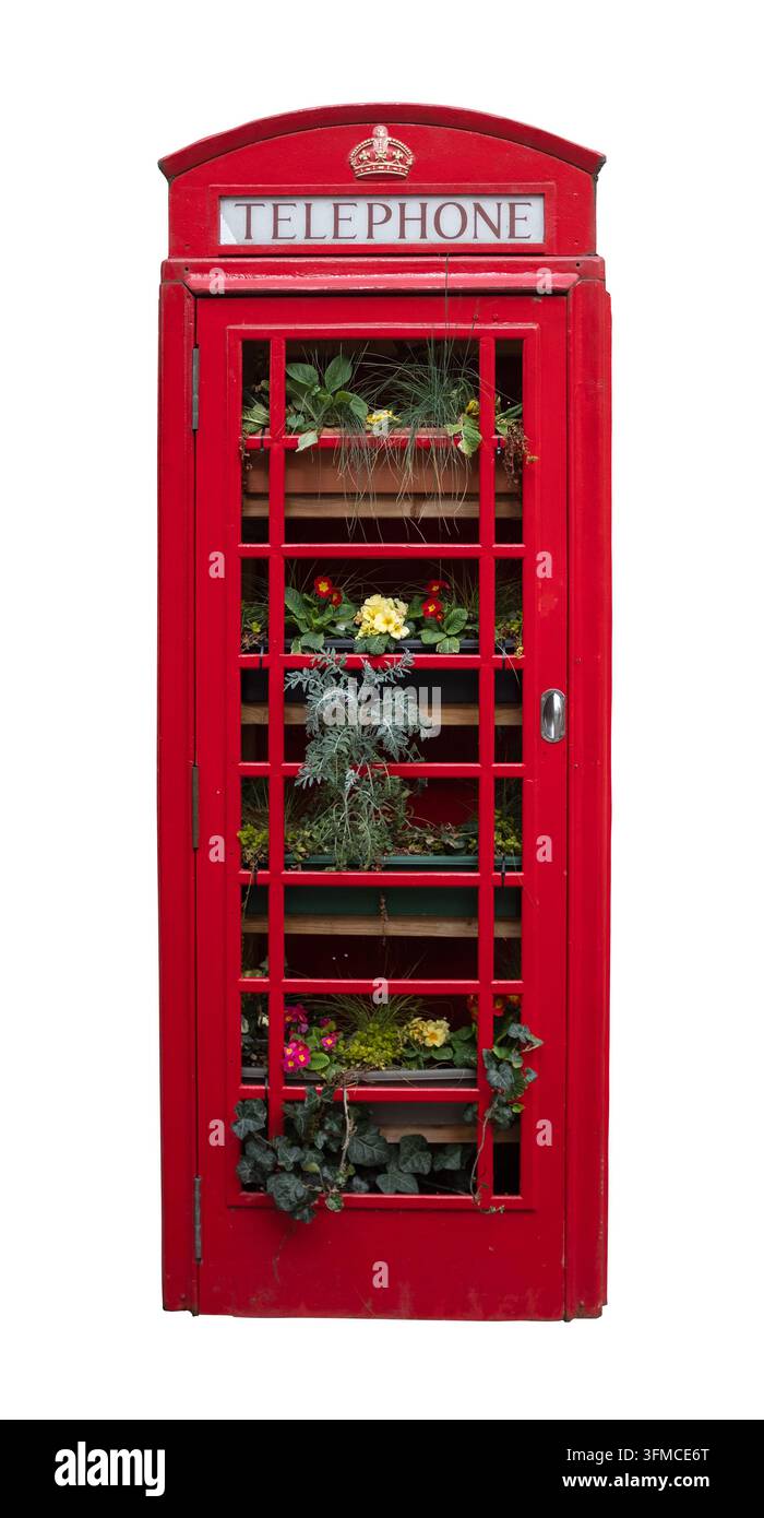 Kiosk téléphonique rouge britannique traditionnel isolé réaménagé en jardin vertical de fleurs sur fond blanc Banque D'Images