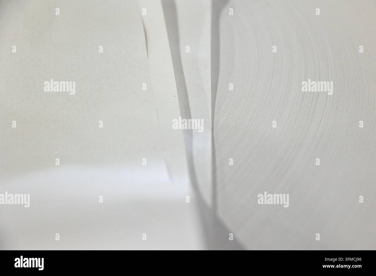 Composition minimaliste de courbes de papier blanc et d'ombres Banque D'Images