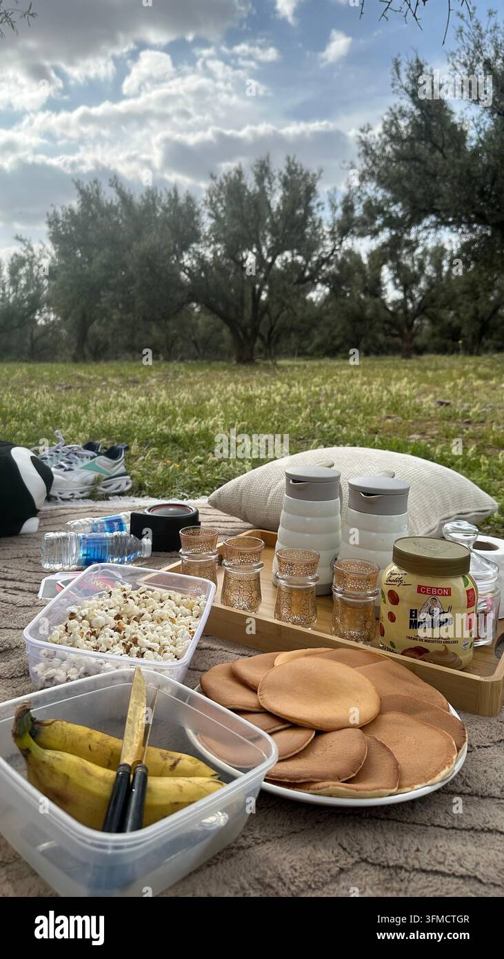 Repas de pique-nique en plein air avec des plats faits maison, des pâtisseries, des légumes frais, des boissons et de la vaisselle, donnant sur un oliveraie et une campagne verdoyante. - Image de stock capturée avec un smartphone