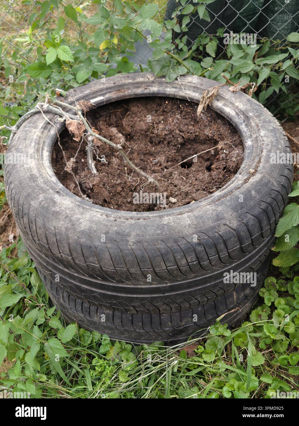 Des pneus usés sont empilés à l'extérieur comme des jardinières improvisées, contenant une terre sombre avec des racines enchevêtrées, des vignes séchées et des mauvaises herbes vertes. Banque D'Images