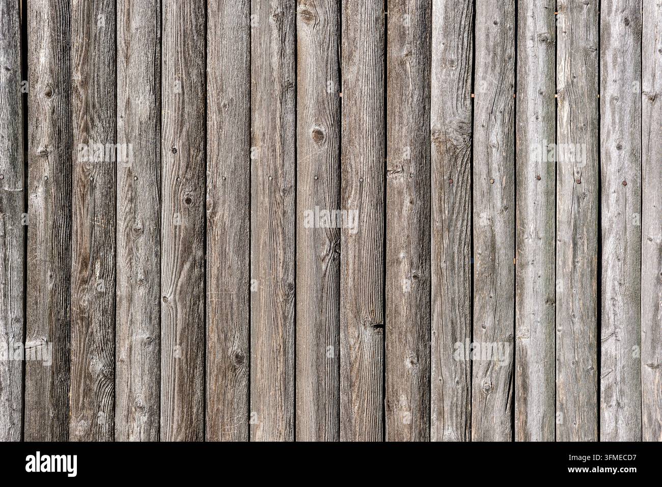 Fond d'un mur de planche gris et usé Banque D'Images