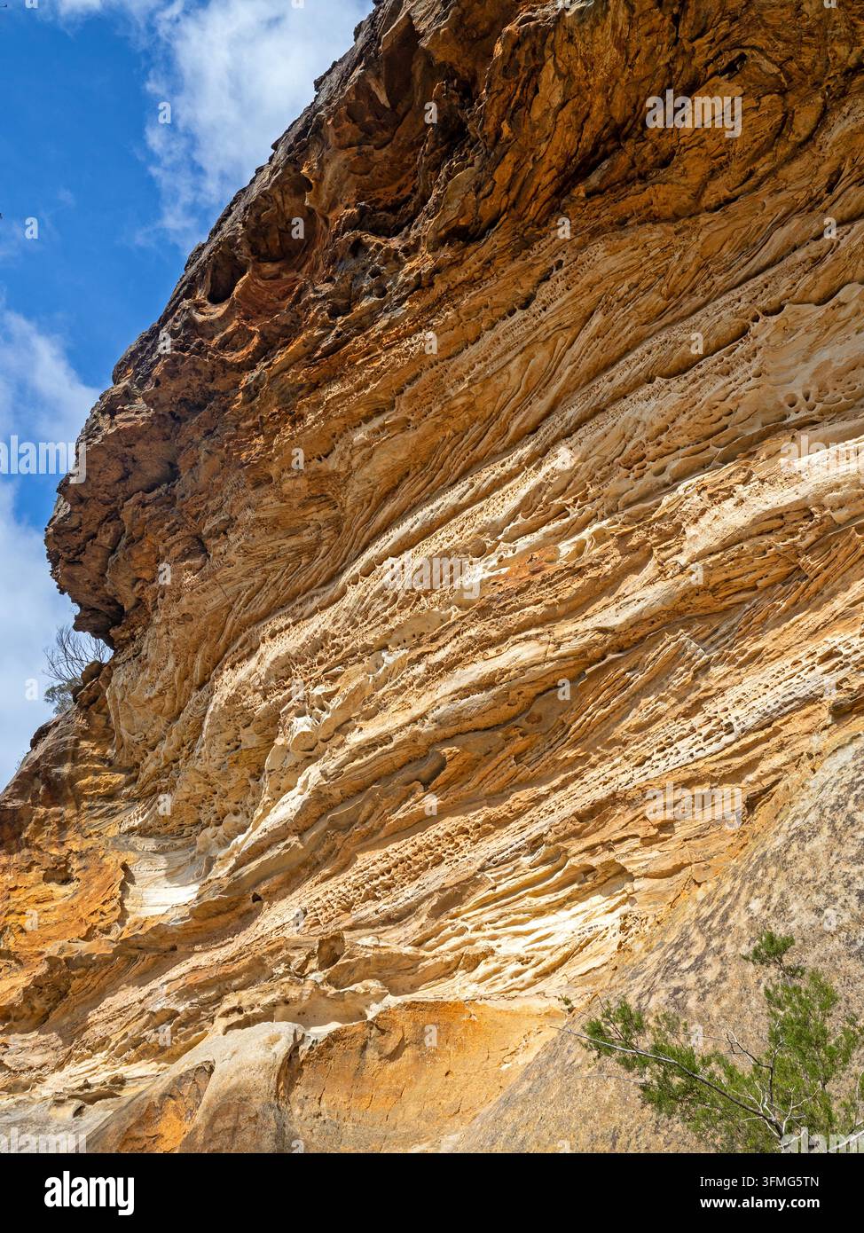 Grotte érodée par le vent dans les Blue Mountains Banque D'Images