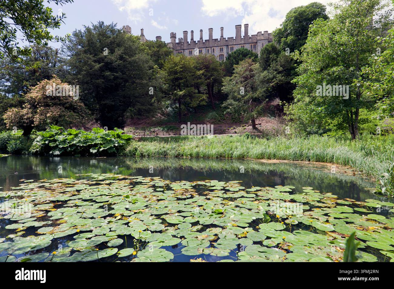 Vue de l'étang d'immergence dans les Water Gardens, sur les terrains du château d'Arundel Banque D'Images
