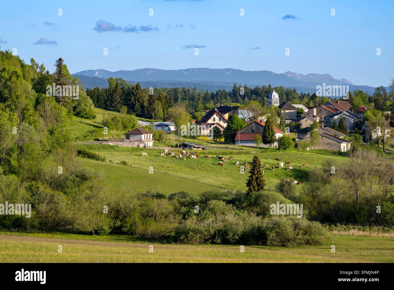 France, Jura, village du château de Grande-Rivière et les monts du Jura en arrière-plan Banque D'Images