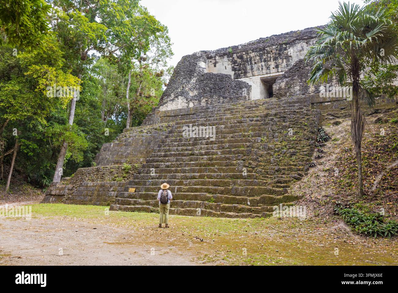 Guatemala, département du Petén, parc national de Tikal, site inscrit au patrimoine mondial par l'UNESCO, zone nord Banque D'Images