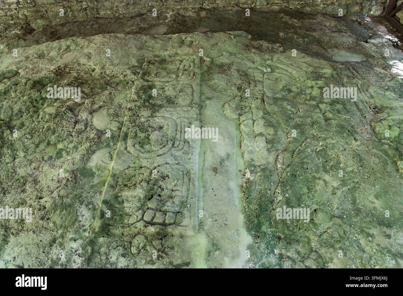 Guatemala, département du Petén, parc national de Tikal, site inscrit au patrimoine mondial par l'UNESCO, pétroglyphe 1 Banque D'Images