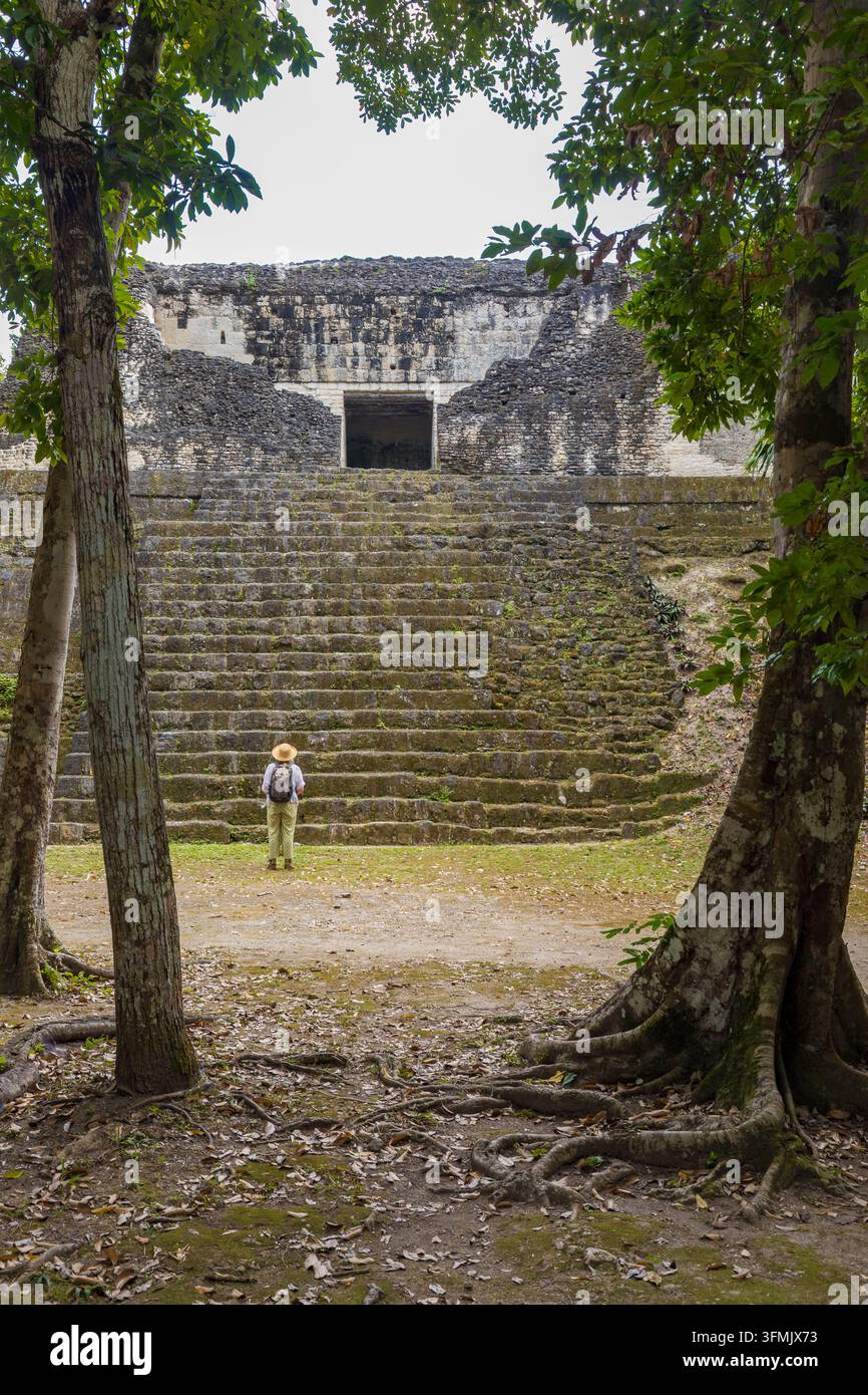 Guatemala, département du Petén, parc national de Tikal, site inscrit au patrimoine mondial par l'UNESCO, zone nord Banque D'Images
