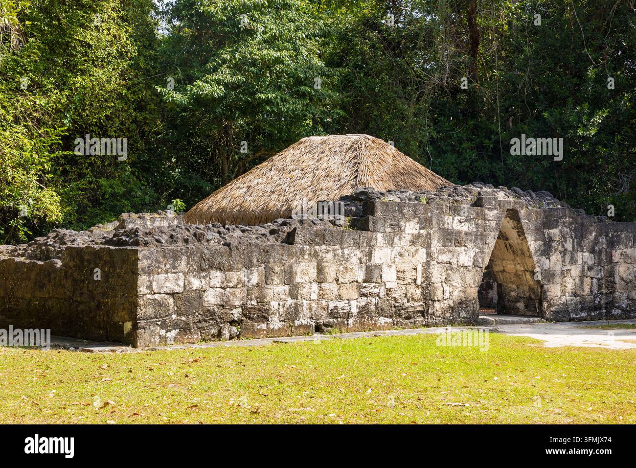 Guatemala, département du Petén, parc national de Tikal, site inscrit au patrimoine mondial par l'UNESCO, complexe Q Banque D'Images