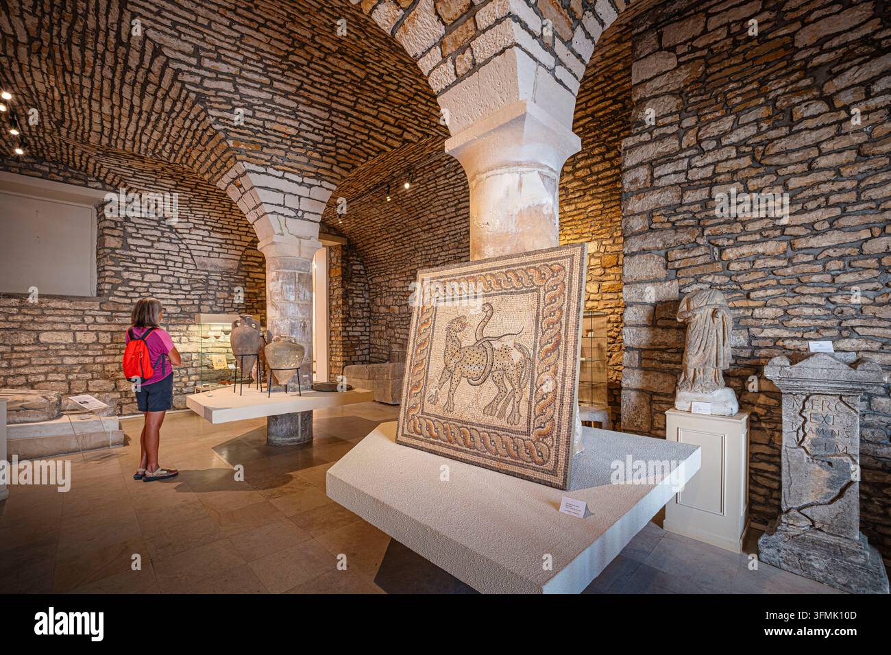 France, Haute-Marne, Chaumont, Musée d'Art et d'Histoire, mosaïque du IIe siècle Banque D'Images