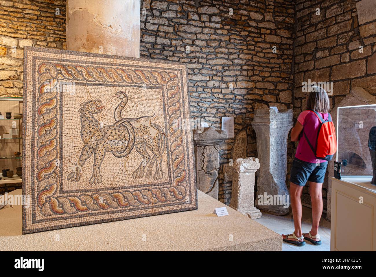 France, Haute-Marne, Chaumont, Musée d'Art et d'Histoire, mosaïque du IIe siècle Banque D'Images