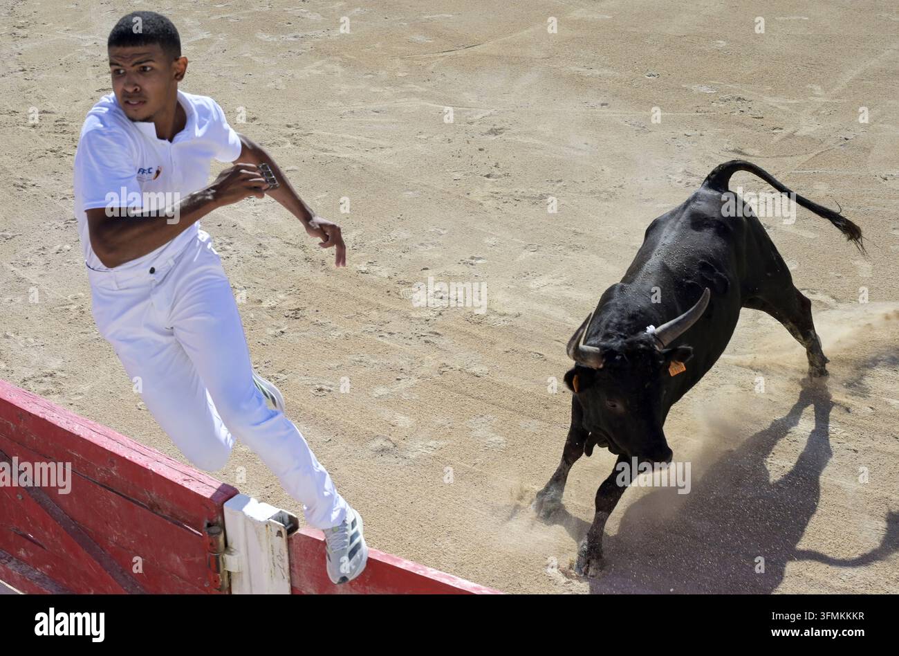 FRANCE, Camargue, Les Saintes-Maries-de-la-Mer, arène de combat de taureau Banque D'Images