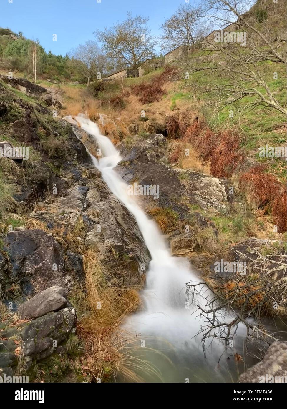Une petite cascade à O Rosal, Galice, Espagne, dévale un terrain rocheux entouré d'une végétation luxuriante et d'herbe sèche. La zone est parsemée de sans feuilles Banque D'Images