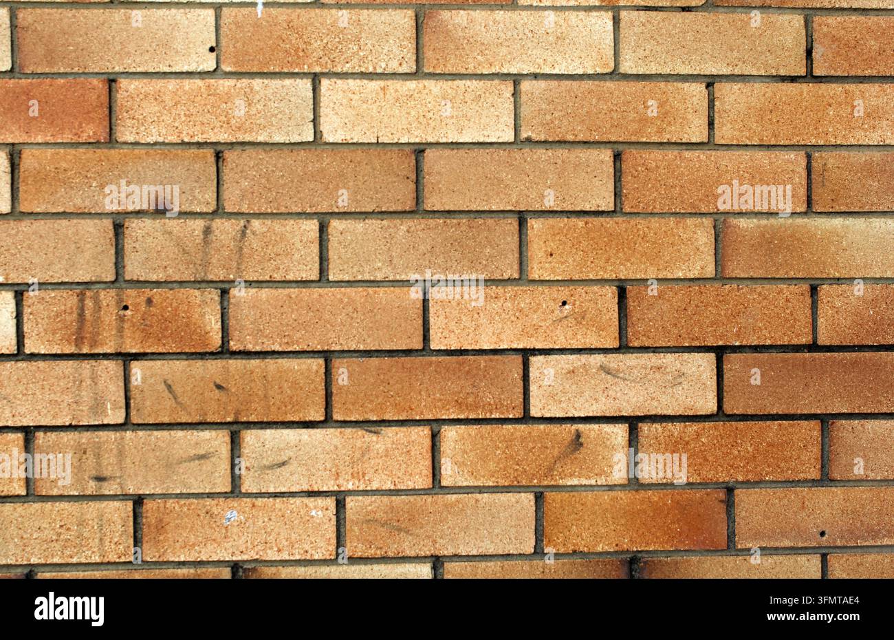 gros plan de la texture d'un mur de briques non peint avec des rangées de briques beige, orange et brunes montrant une légère altération Banque D'Images