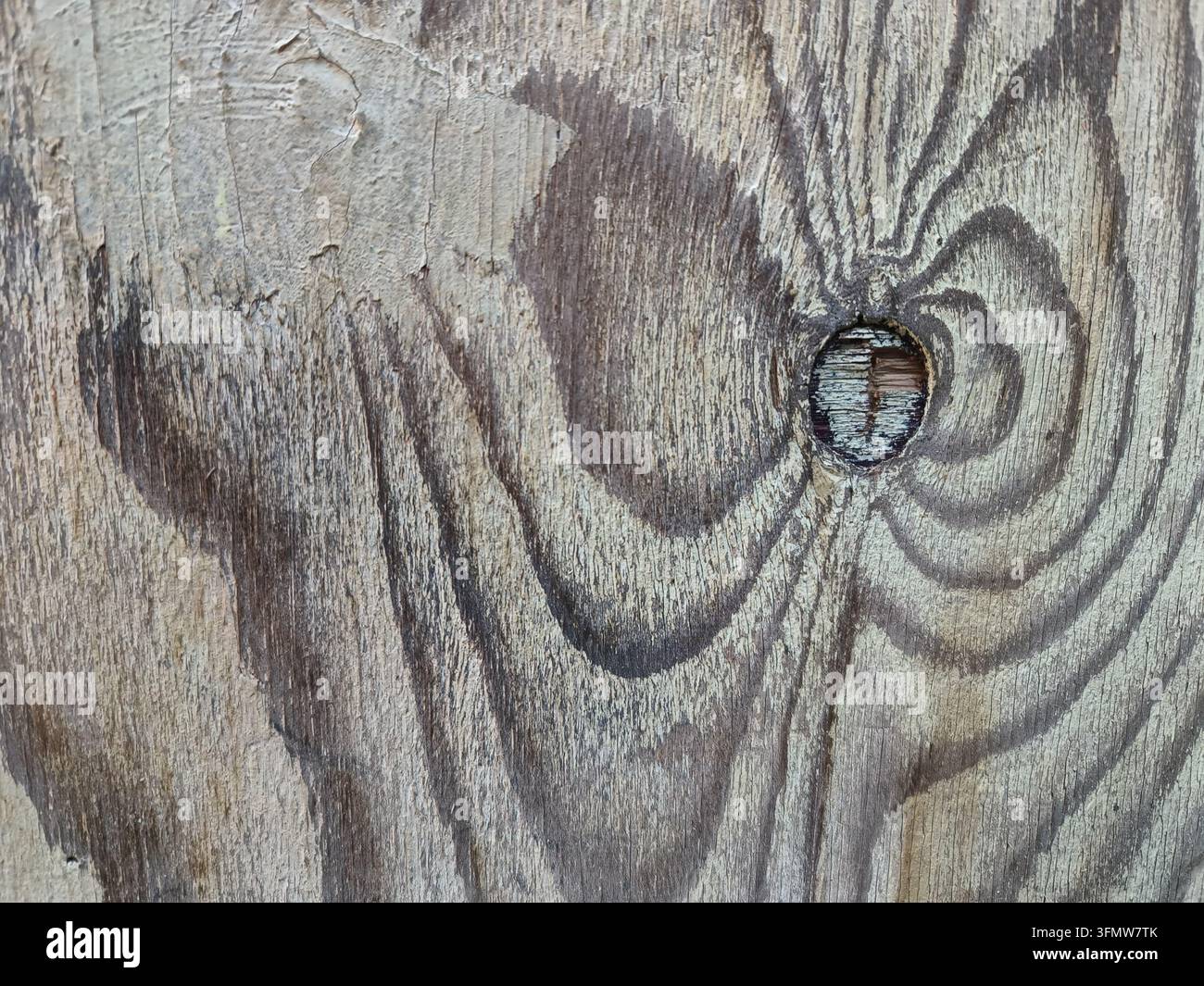Ancienne surface en bois usée avec des motifs de veinures naturels et un nœud rond. Banque D'Images