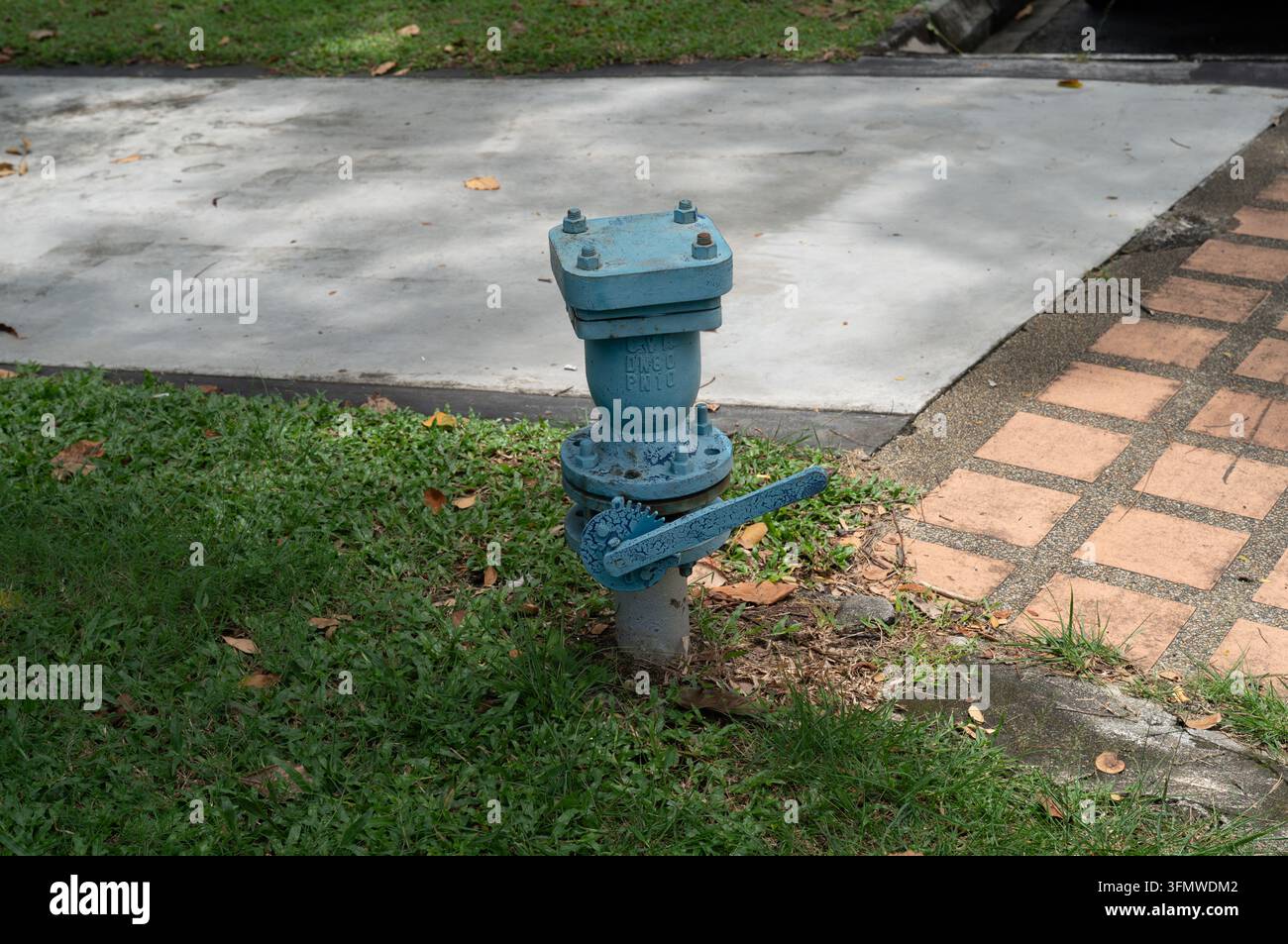 Valve d'air cinétique municipale bleue et infrastructure de pipeline d'eau sur un accotement enherbé à Penang, Malaisie Banque D'Images