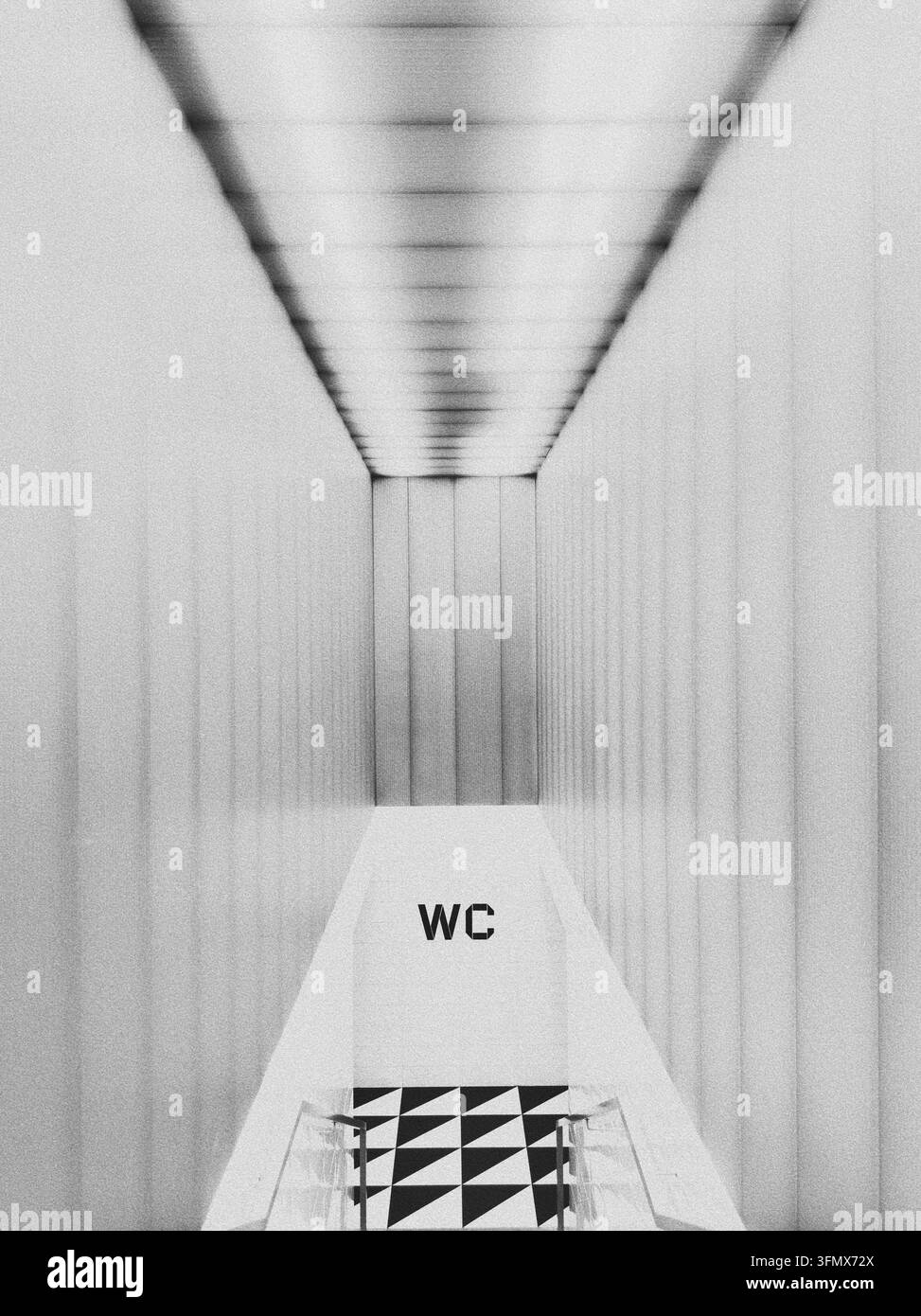 Photographie architecturale en contraste noir et blanc de l'escalier des toilettes publiques célèbres avec des carreaux à motif écossais graphique et un panneau WC décalqué. Banque D'Images