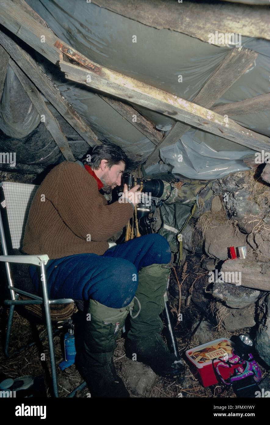 Laurie Campbell (Photographe) à l'intérieur d'un abri rocheux en hiver qui a été construit pour photographier des aigles royaux à un site d'appât en hiver. Banque D'Images