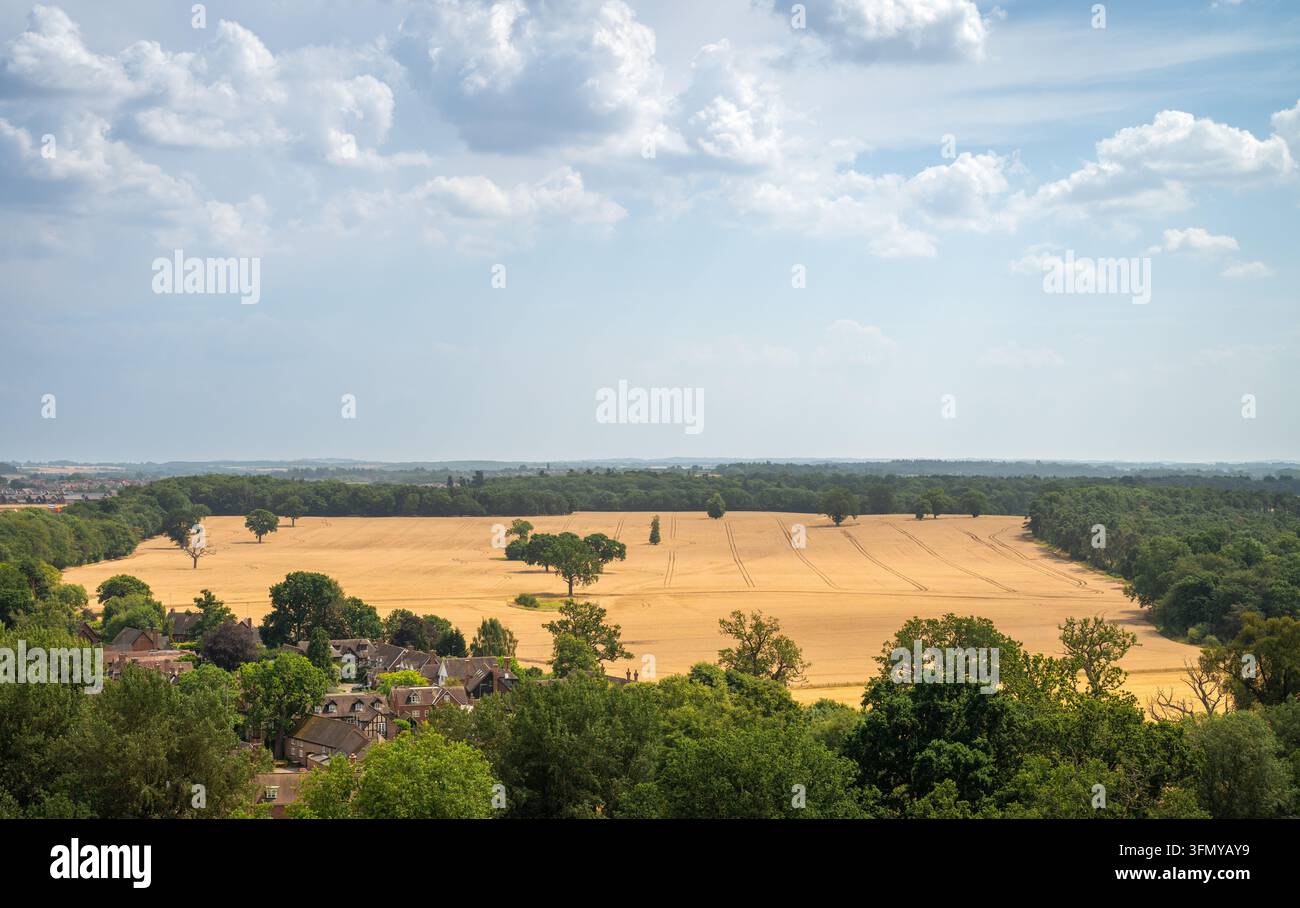 Vue de la campagne du Warwickshire avec des arbres et des champs. Le Warwickshire est un comté des Midlands au Royaume-Uni. Banque D'Images