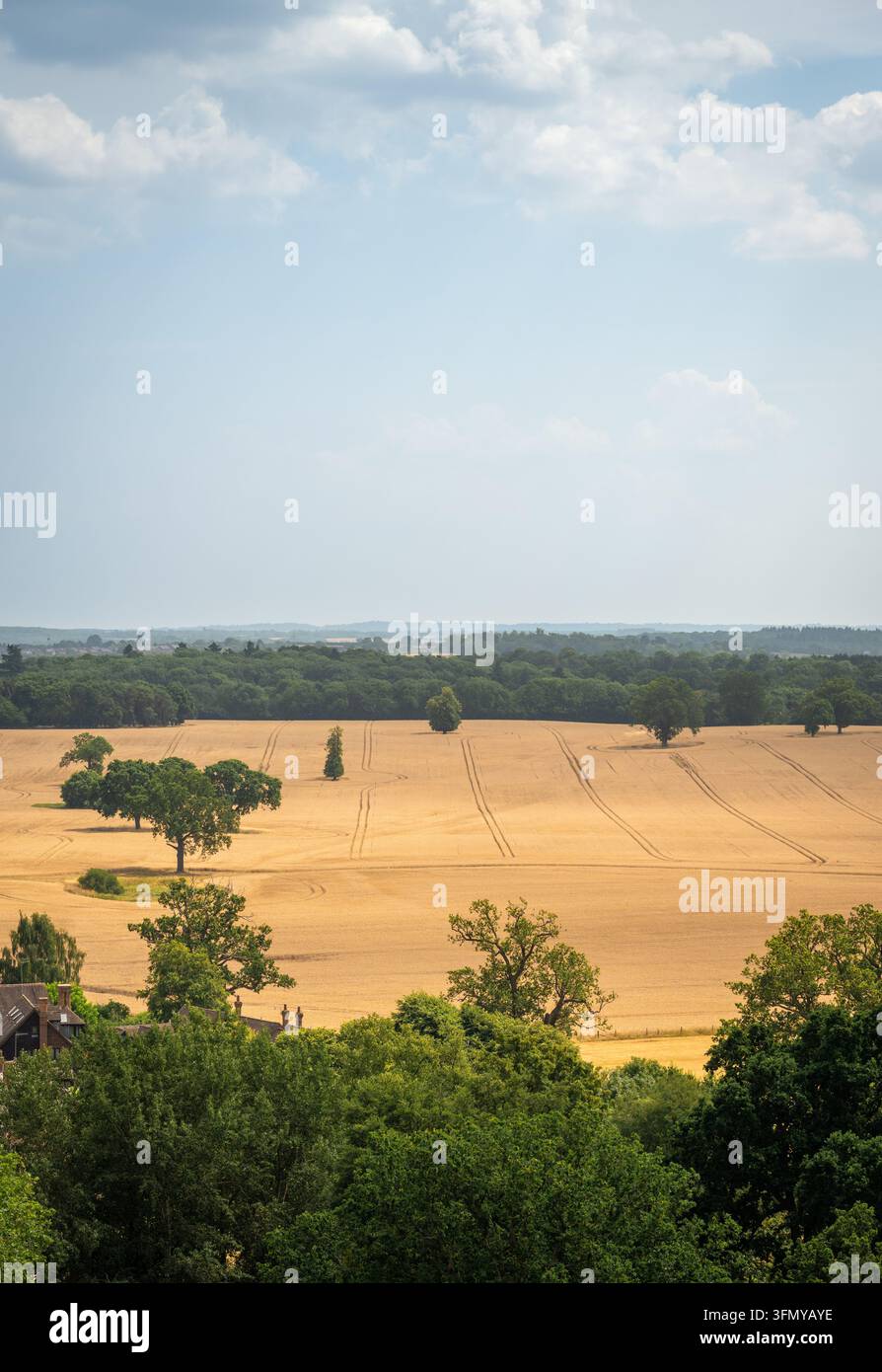 Vue de la campagne du Warwickshire avec des arbres et des champs. Le Warwickshire est un comté des Midlands au Royaume-Uni. Banque D'Images