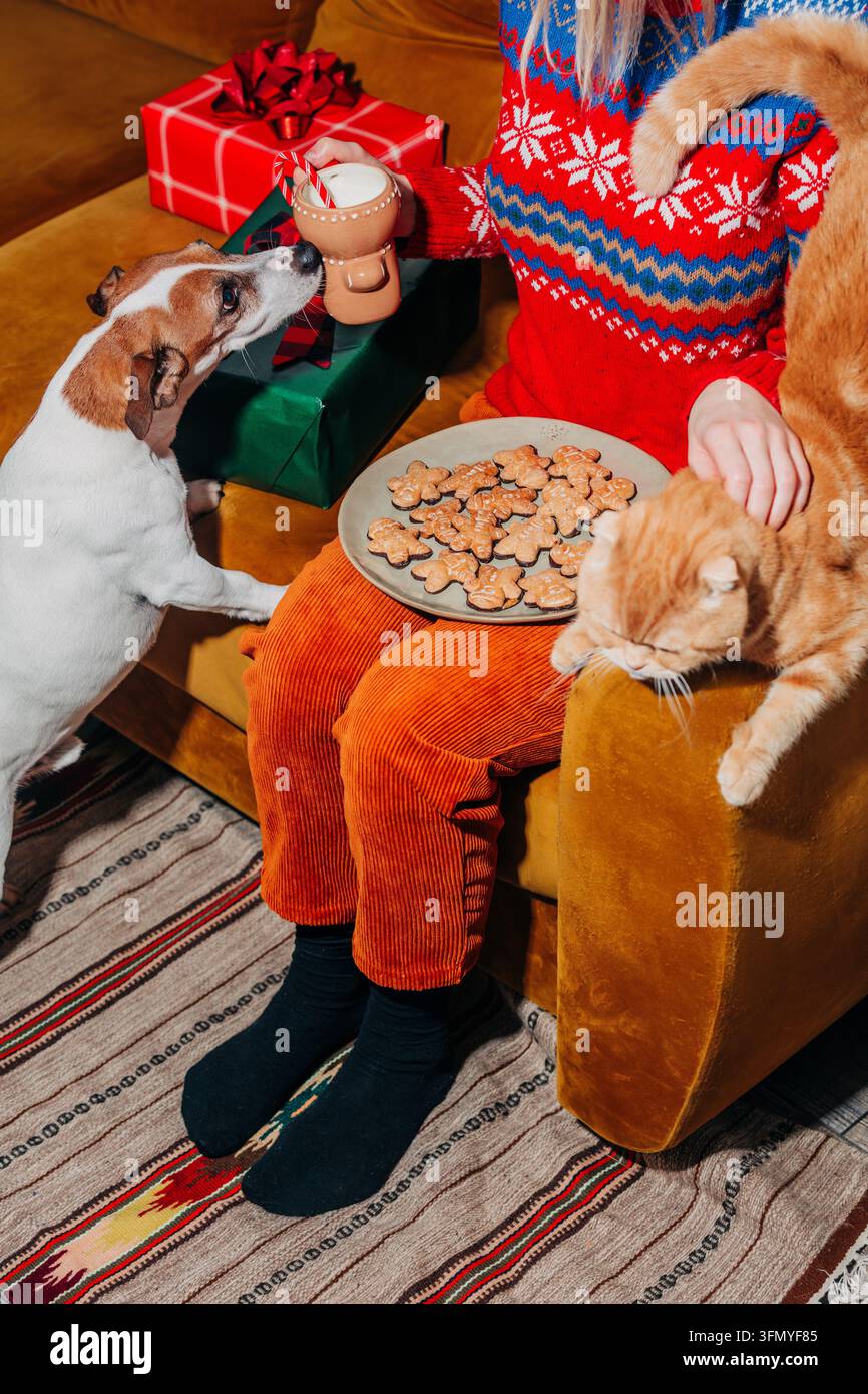 Une femme en pantalon jaune vintage et pull festif est assise sur un canapé marron avec un chat roux et un chien, tenant une tasse de lait et une assiette de Noël Banque D'Images