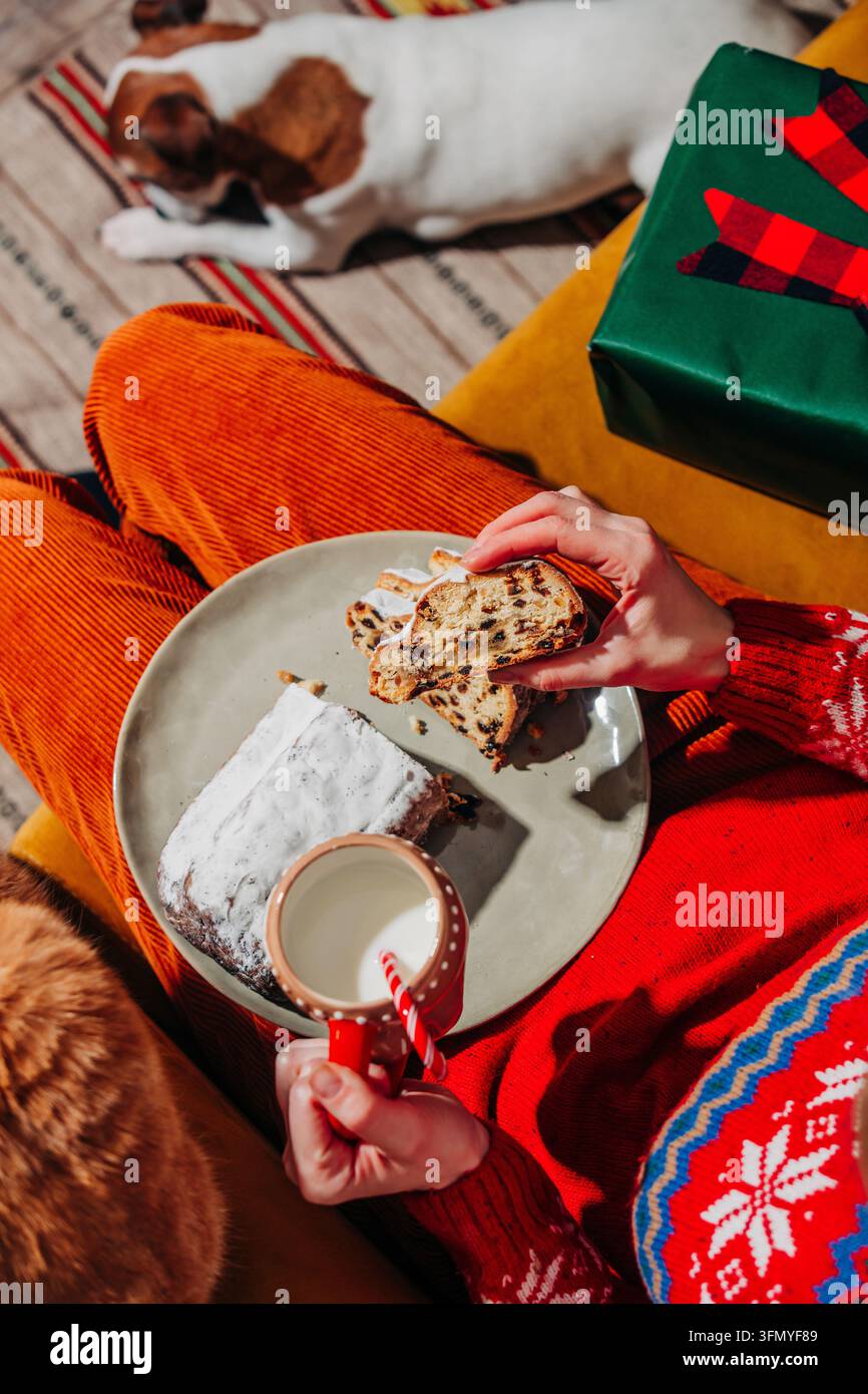 Vue aérienne douillette d'une femme en pantalon vintage et pull festif savourant un stollen traditionnel et du lait sur un canapé à côté d'un chien, d'un chat ginger et w Banque D'Images