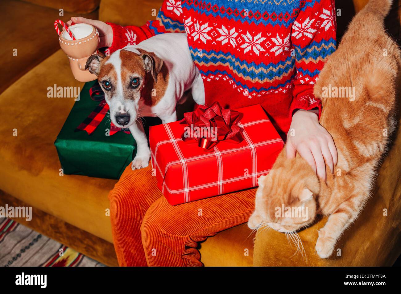 Femme dans un pull festif et un pantalon vintage jaune assise sur un canapé marron avec un chat roux et un chien, entourée de cadeaux de Noël emballés et de Holi Banque D'Images