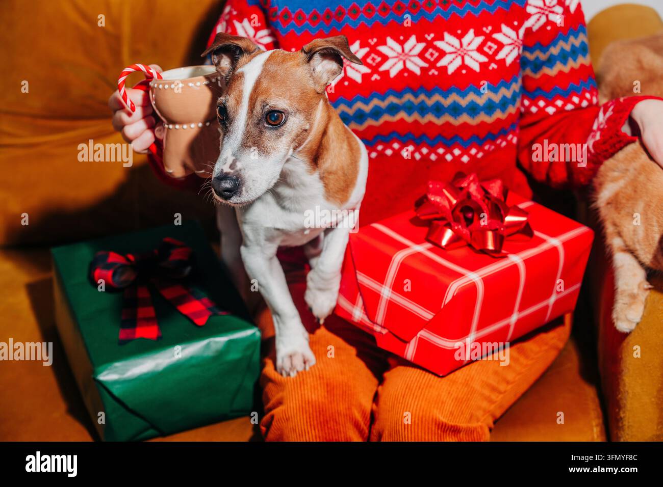Femme dans un pull festif et un pantalon vintage jaune assise sur un canapé marron avec un chien et un chat gingembre, entourée de cadeaux de Noël emballés pendant une Banque D'Images