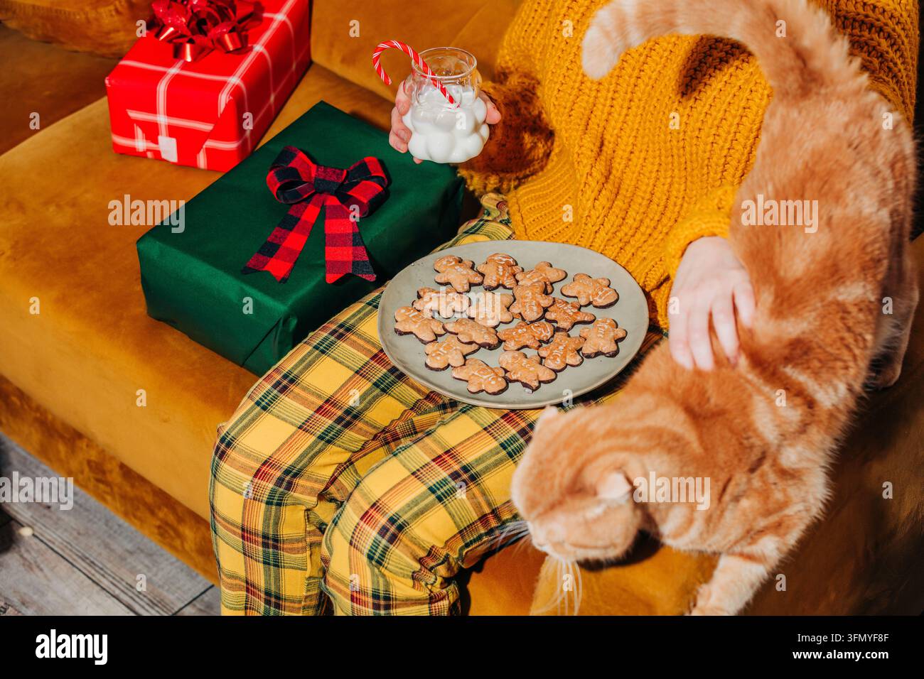 Scène de Noël chaleureuse d'une femme en pantalon vintage jaune et pull festif assise sur un canapé marron avec un chat gingembre, des biscuits, du lait, une canne en sucre et un Banque D'Images