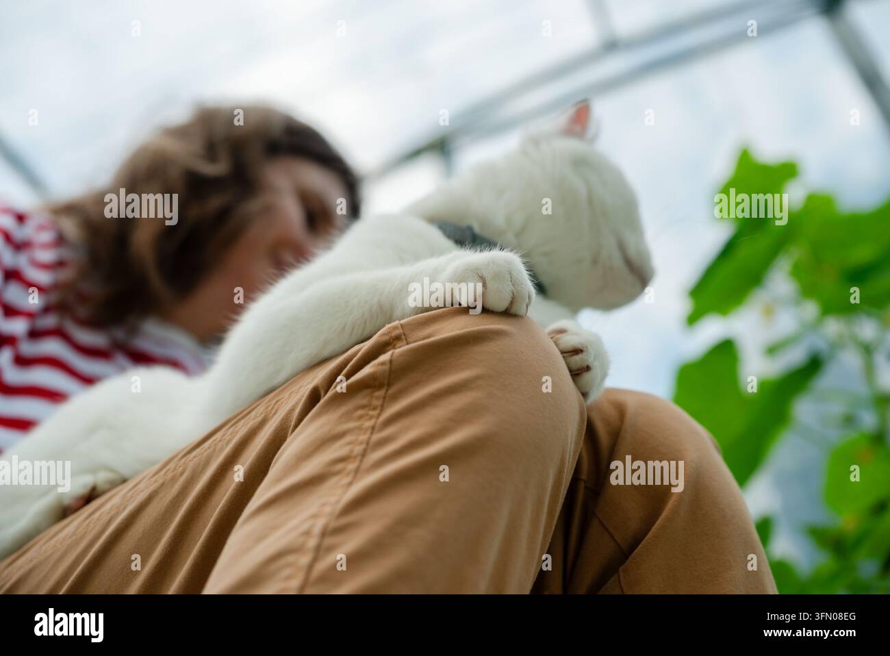 Femme calme assise confortablement avec son chat adoré sur les genoux, profitant d'un moment de sérénité et de compagnie paisible à la maison. L'image capture l'essence d'une possession d'animal de compagnie satisfaite dans un cadre de salon confortable Banque D'Images