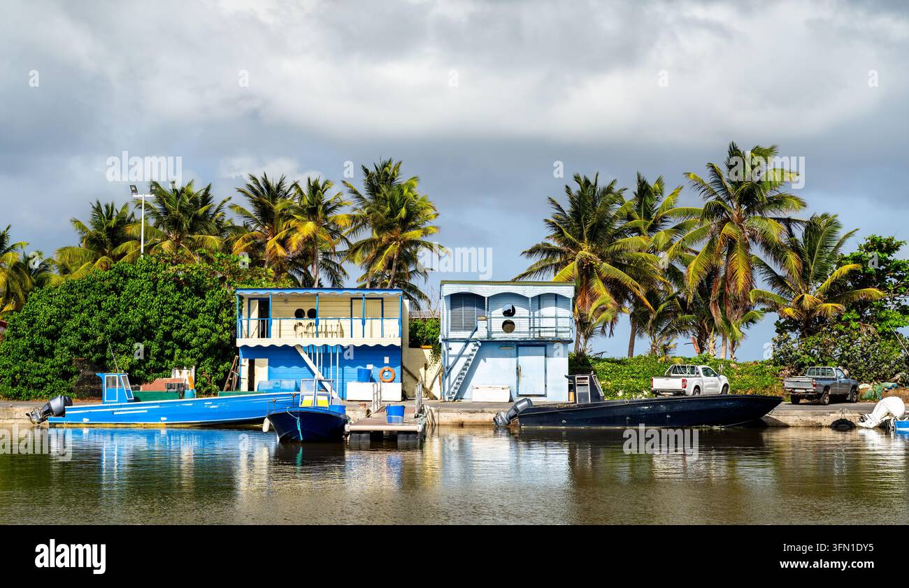 Bateaux amarrés le long du port avec des cabanes côtières colorées et des palmiers à Port de la Desirade en Guadeloupe. Banque D'Images