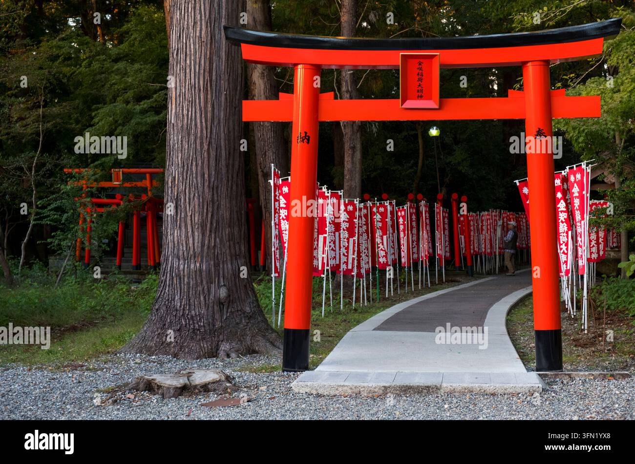 Porte torii shinto vermillon japonais au Kanasaki Inari Daimyojin Jinja près de Taga Taisha à Hikone, Shiga, Japon indiquant les dates de dédicace. Banque D'Images
