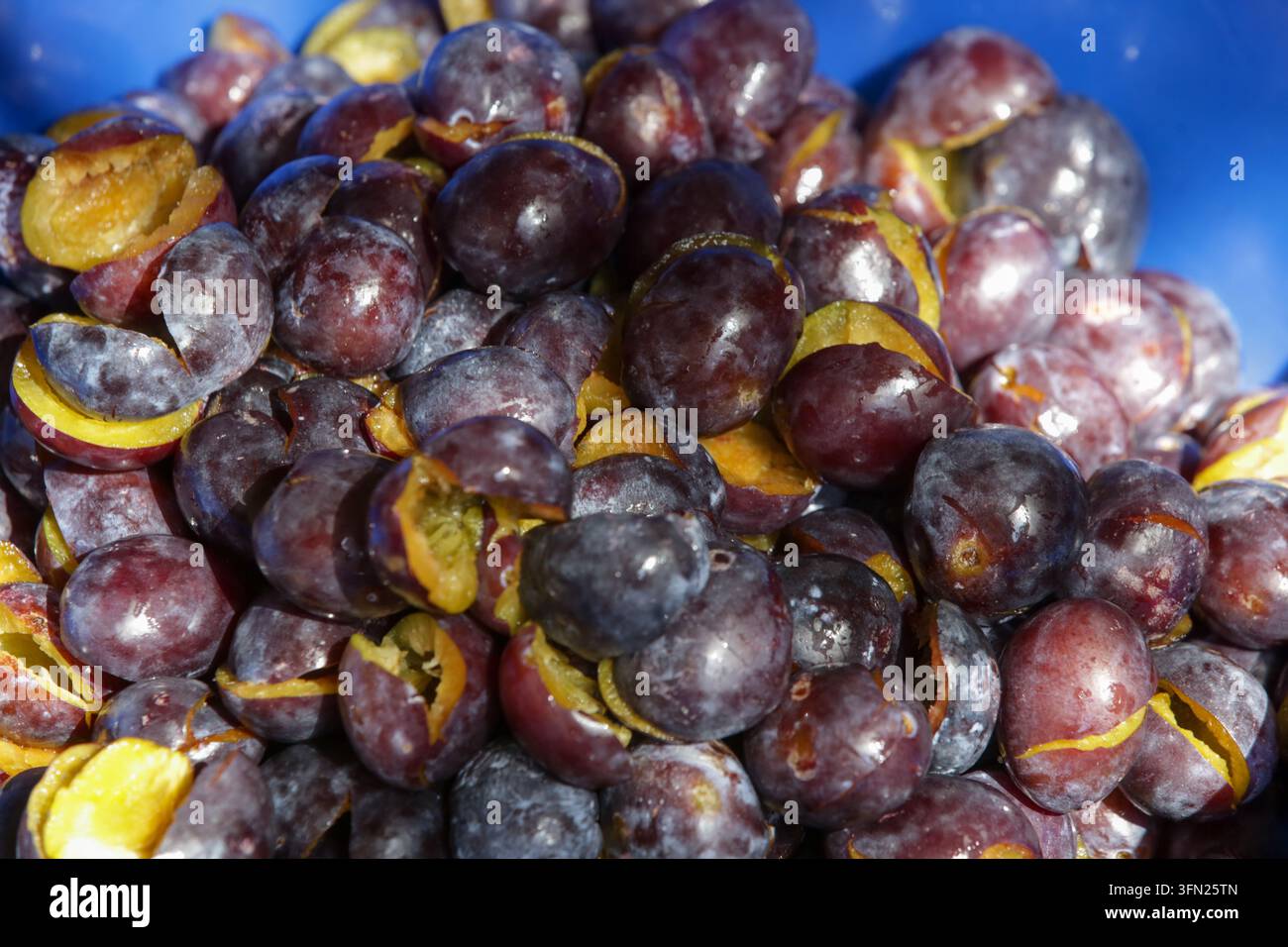 Processus traditionnel de fabrication de confiture de prunes maison, de la récolte et préparation des prunes fraîches à la cuisson lente et au remplissage des bocaux en verre Banque D'Images