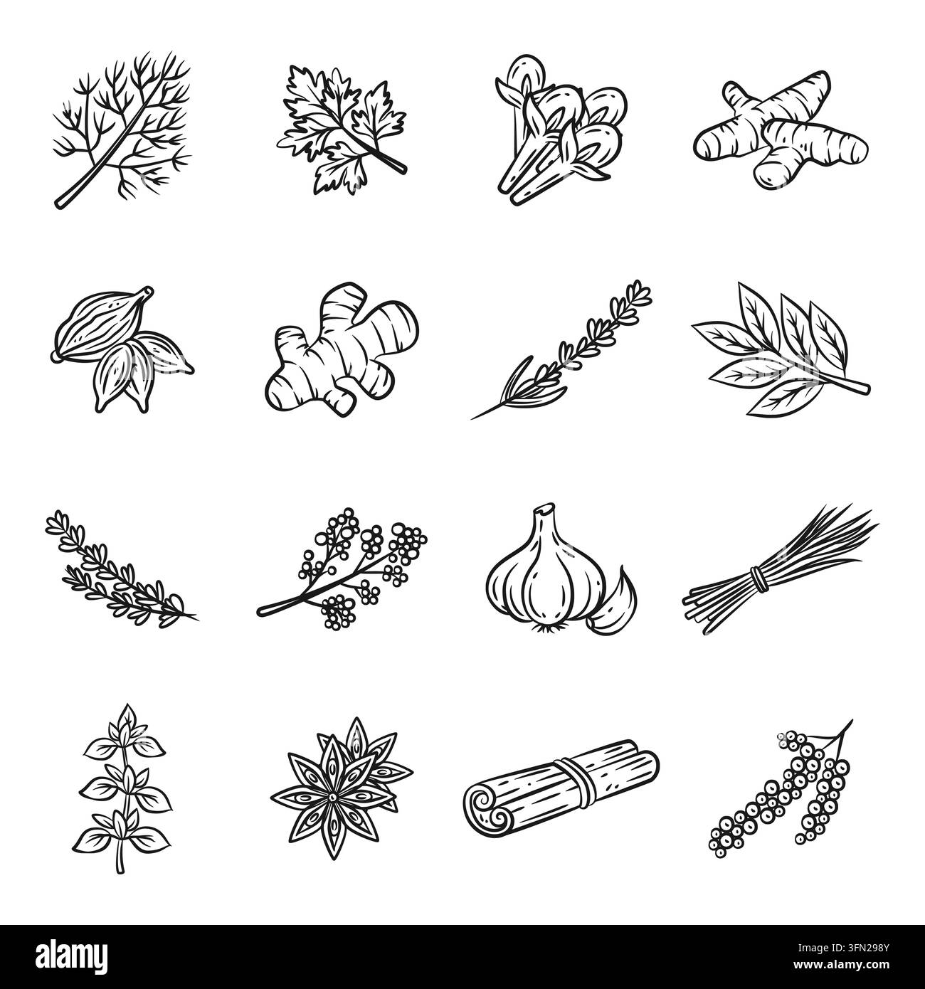 Collection vectorielle charmante d'herbes naturelles dessinées à la main et d'épices aromatiques, comprenant des clous de girofle, du gingembre, de l'ail et du cinnamon. Rendu en noir propre Illustration de Vecteur