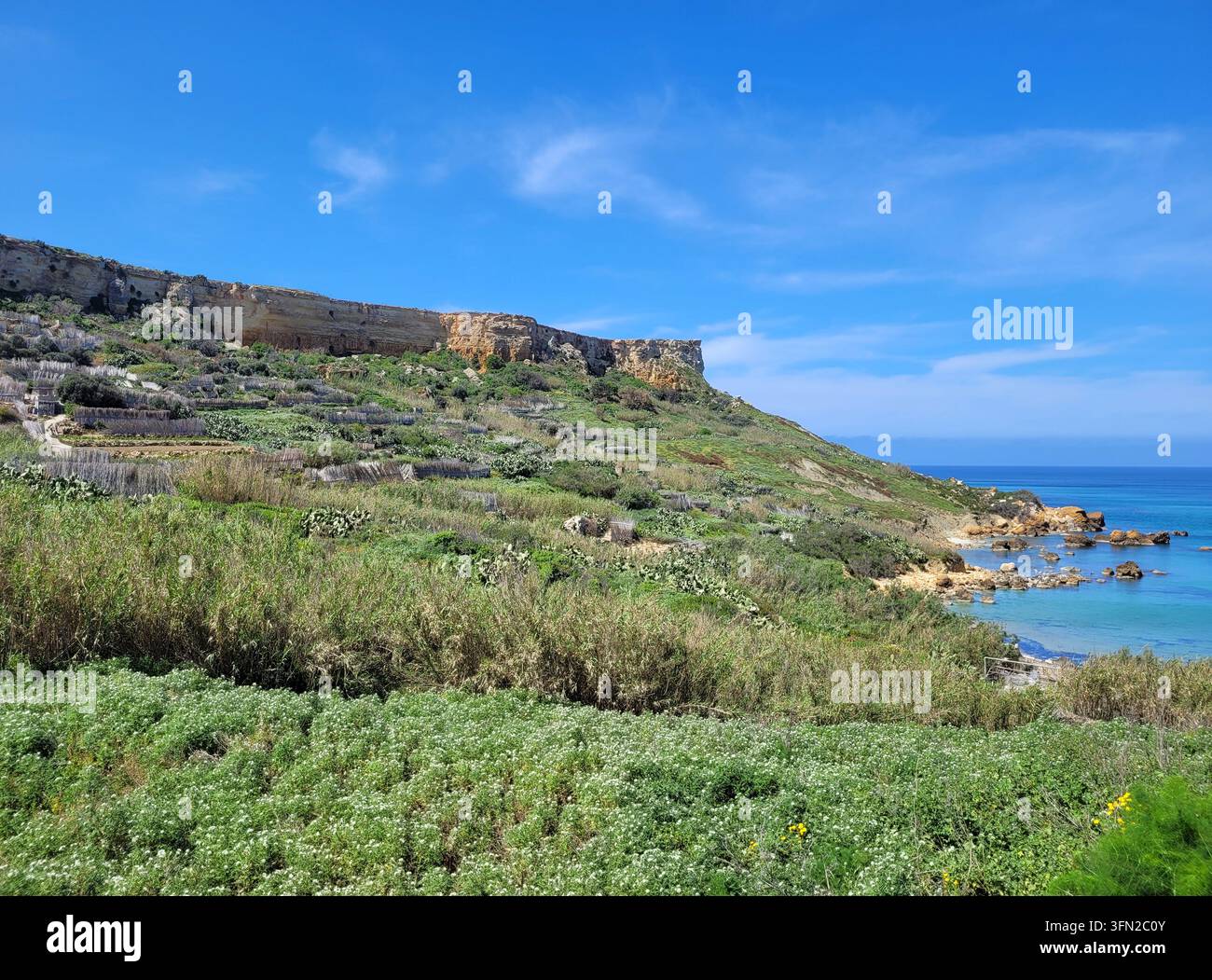 Vallée verte descendant vers la baie de San Blas sur Gozo, Malte, en contrebas des hautes pentes d'argile Banque D'Images