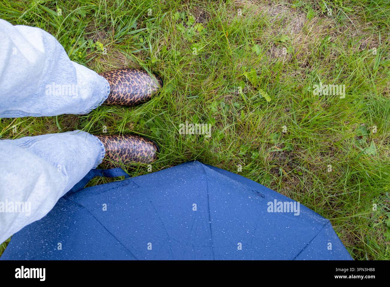 Vue en hauteur de jambes en jean clair et bottes de pluie à imprimé léopard debout sur de l'herbe mouillée à côté d'un parapluie bleu couvert de gouttes de pluie. Concept de pluie Banque D'Images