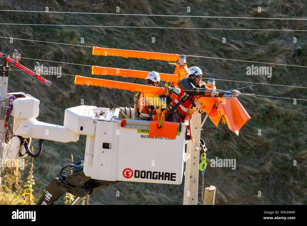 Ouvriers d'utilité, ou linemen, dans un camion à nacelle isolée effectuant la maintenance sur des lignes à haute tension. Banque D'Images