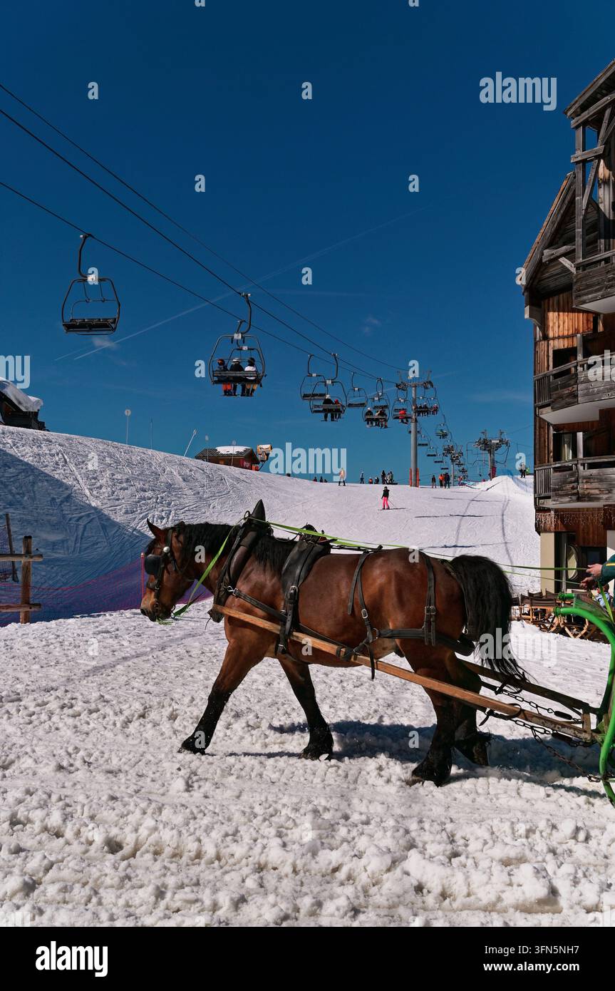 Cheval de trait tire un traîneau à travers la neige sous une longue téléphérique remontant les pentes d'Avoriaz Banque D'Images