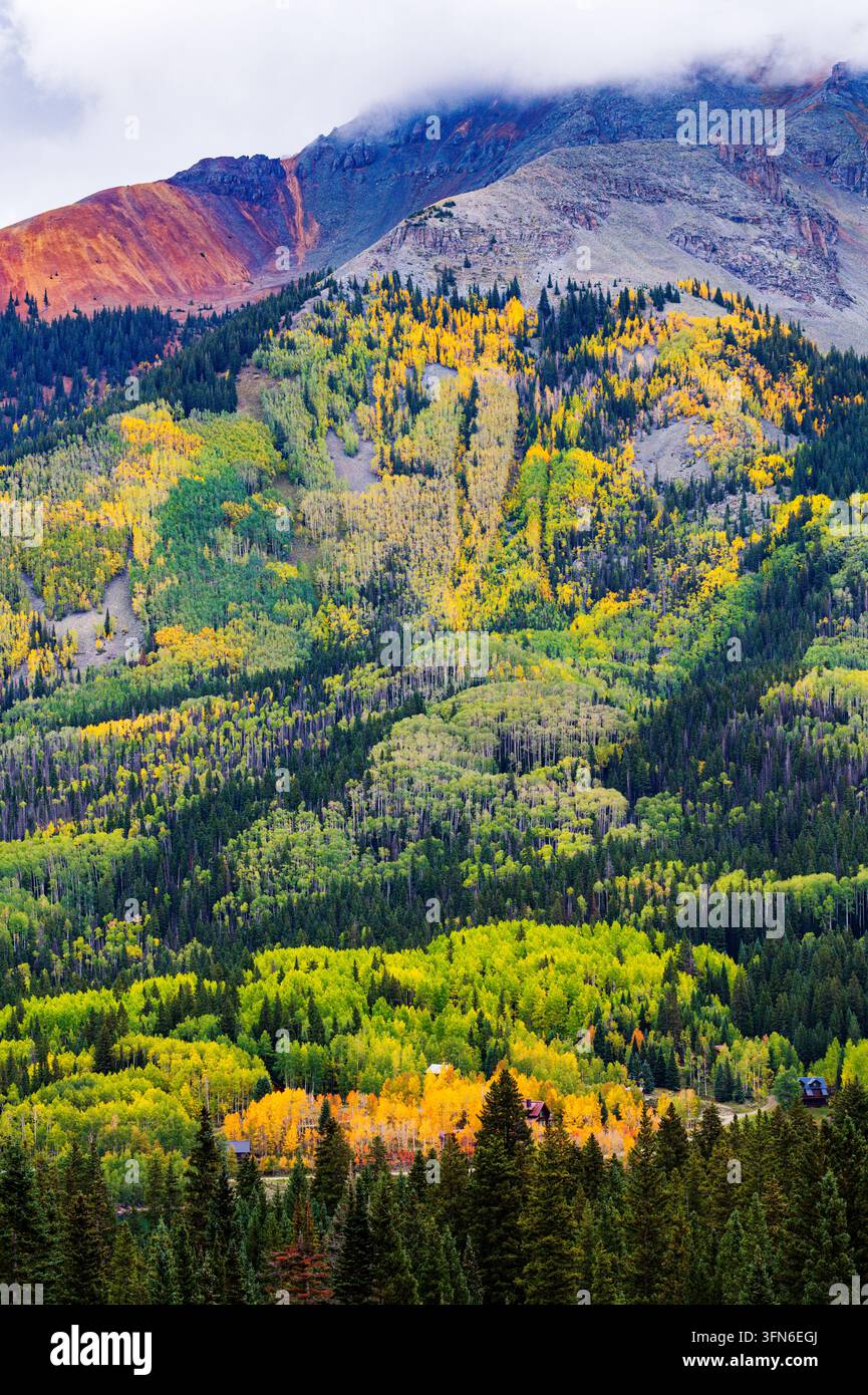 Magnifiques feuillages colorés d'automne ; près du lac Trout ; Rocheuses ; Forêt nationale de San Juan ; Colorado ; États-Unis Banque D'Images