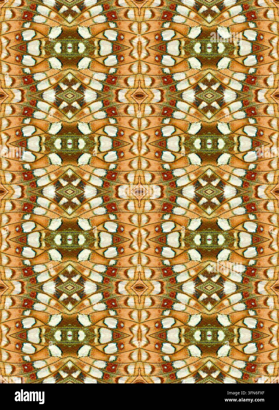 Texture de motif répétitif symétrique et sans couture des ailes du papillon Fabriciana adippe Banque D'Images