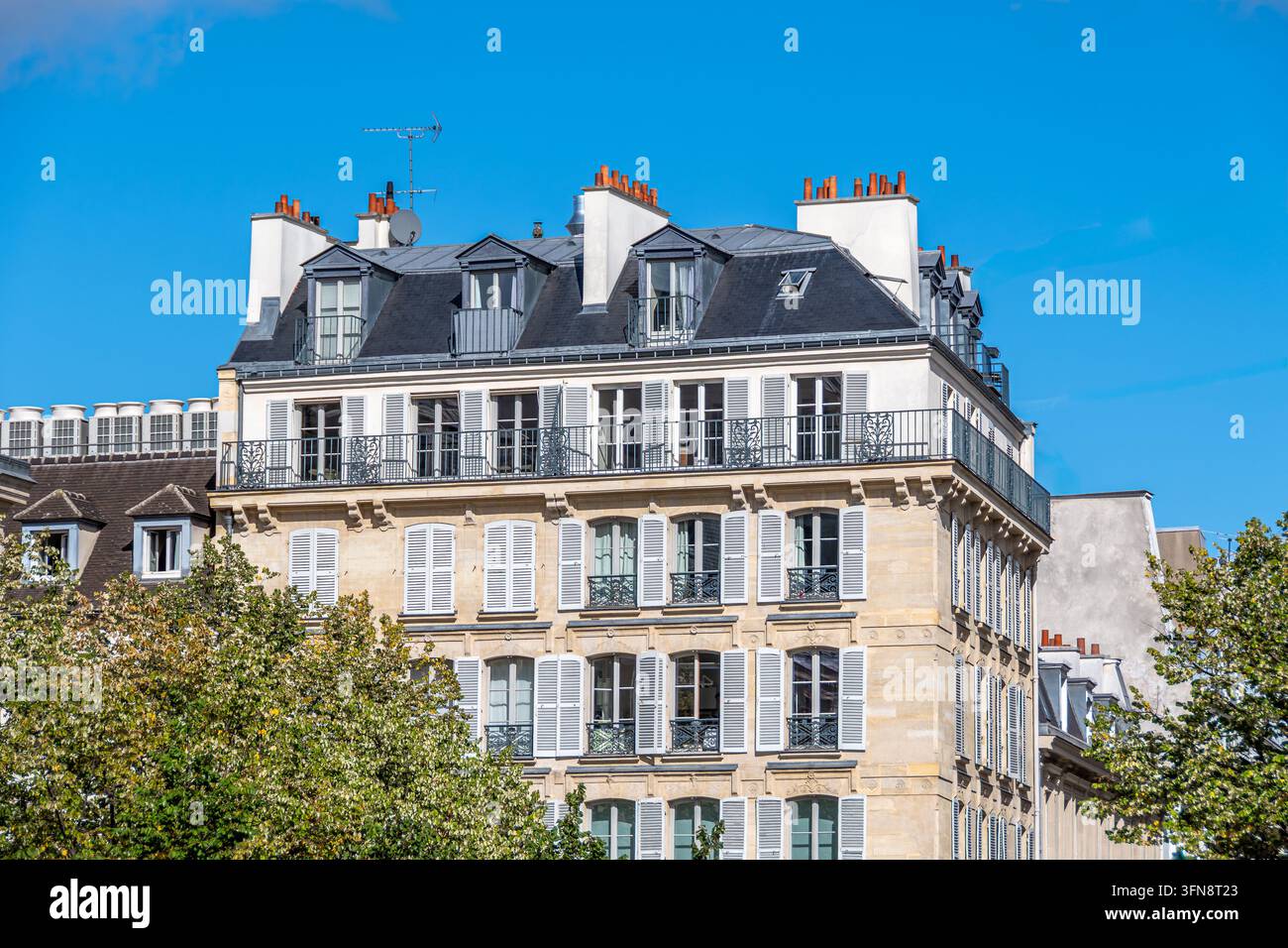 Façades d'immeubles d'appartements de style classique parisiens. Concepts du marché immobilier et problèmes de logement pour les maisons anciennes en France et à Paris Banque D'Images