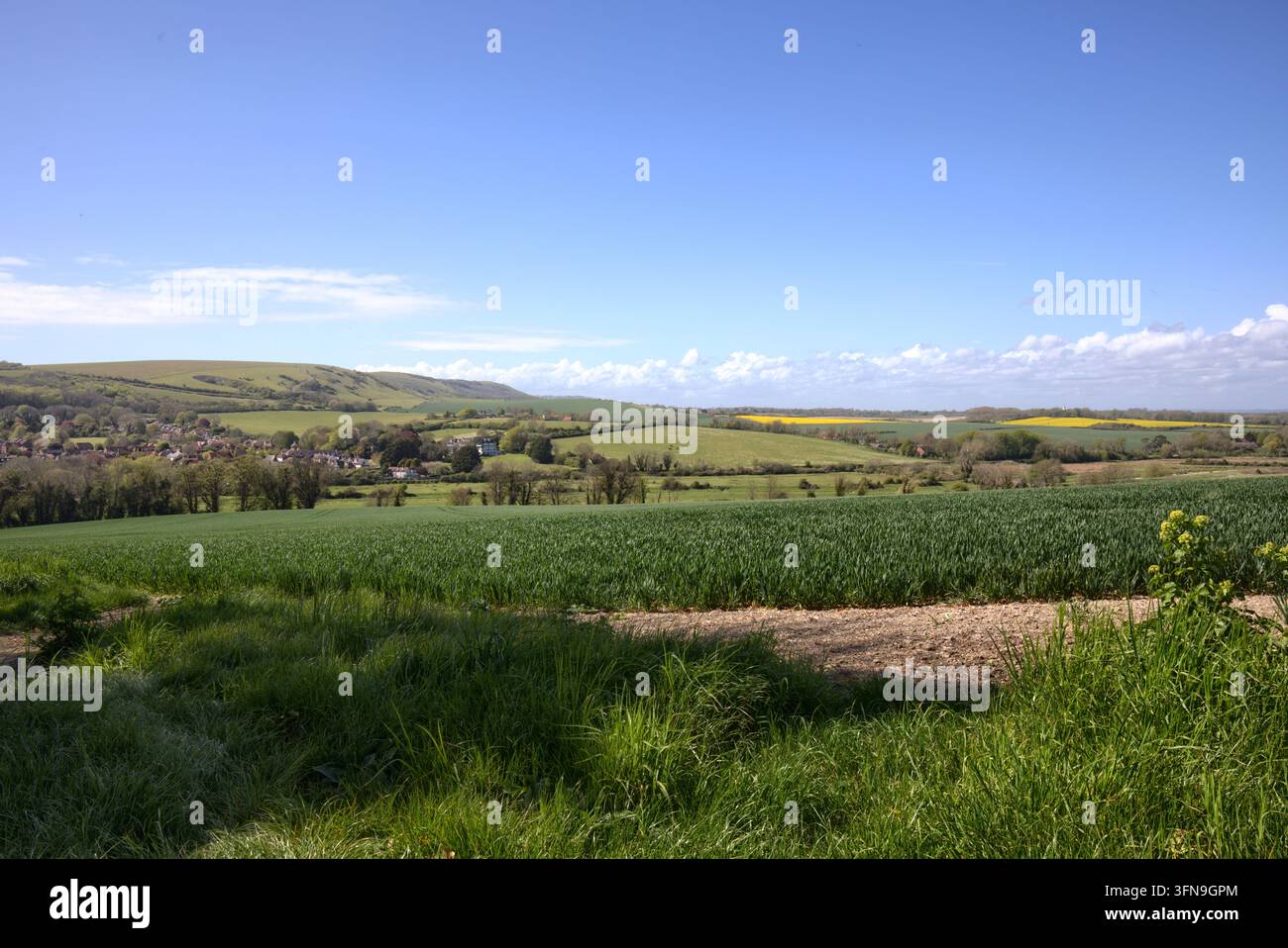 Une vue panoramique large sur les champs verts vibrants et les collines ondulantes de la campagne des South Downs près du village d'Alfriston, dans l'East Sussex. Banque D'Images