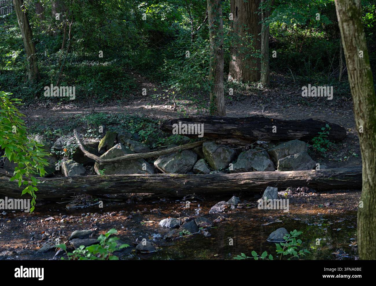 Un petit ruisseau forestier avec des troncs d'arbres tombés et des barrières de pierres disposées, ressemblant à un sentier de marche naturel ou de parc Banque D'Images