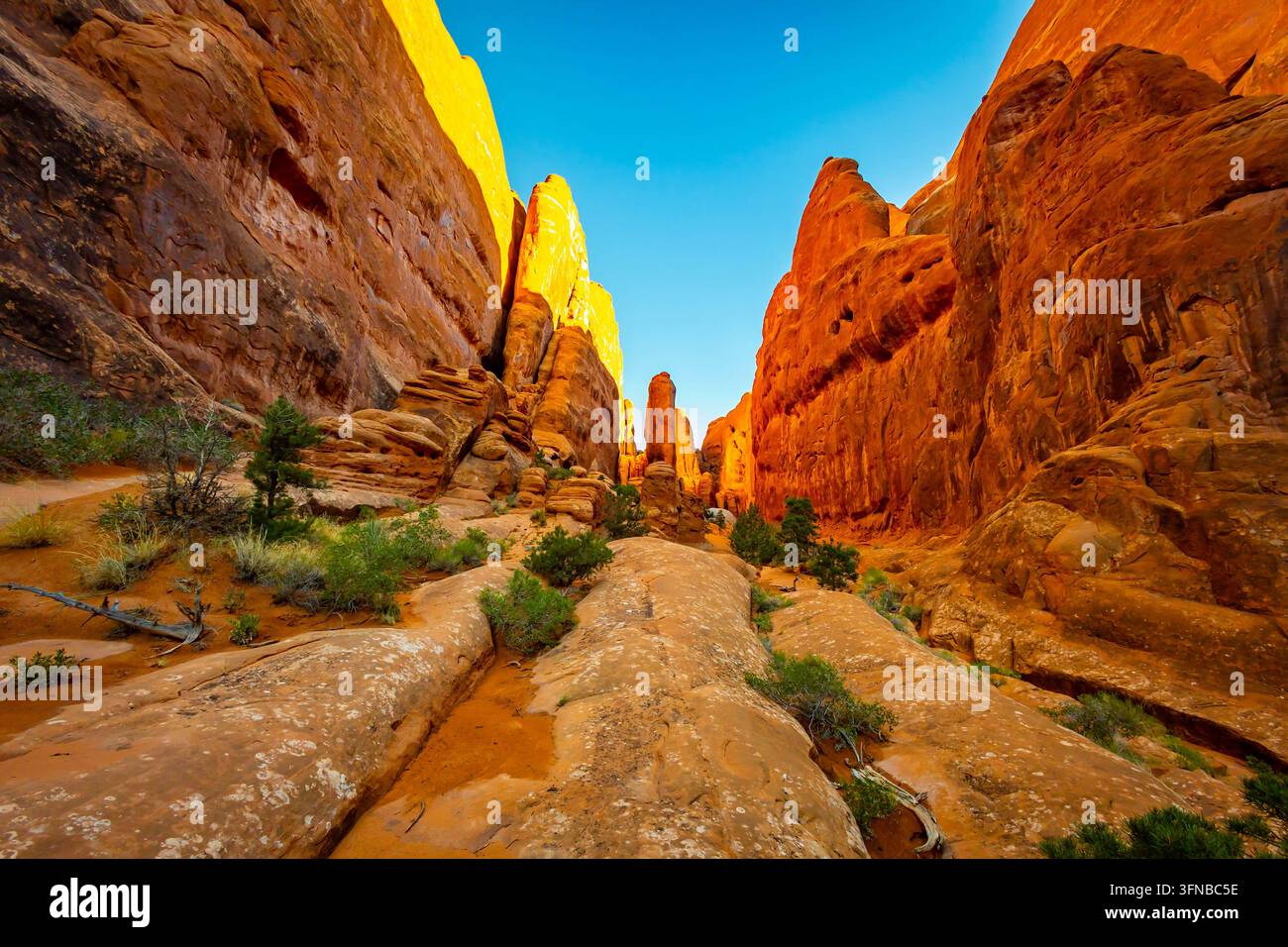 Étroit labyrinthe de falaises de grès imposantes et de ravins désertiques formant le dédale complexe du Fiery Furnace dans le parc national des Arches à Moab, Utah Banque D'Images