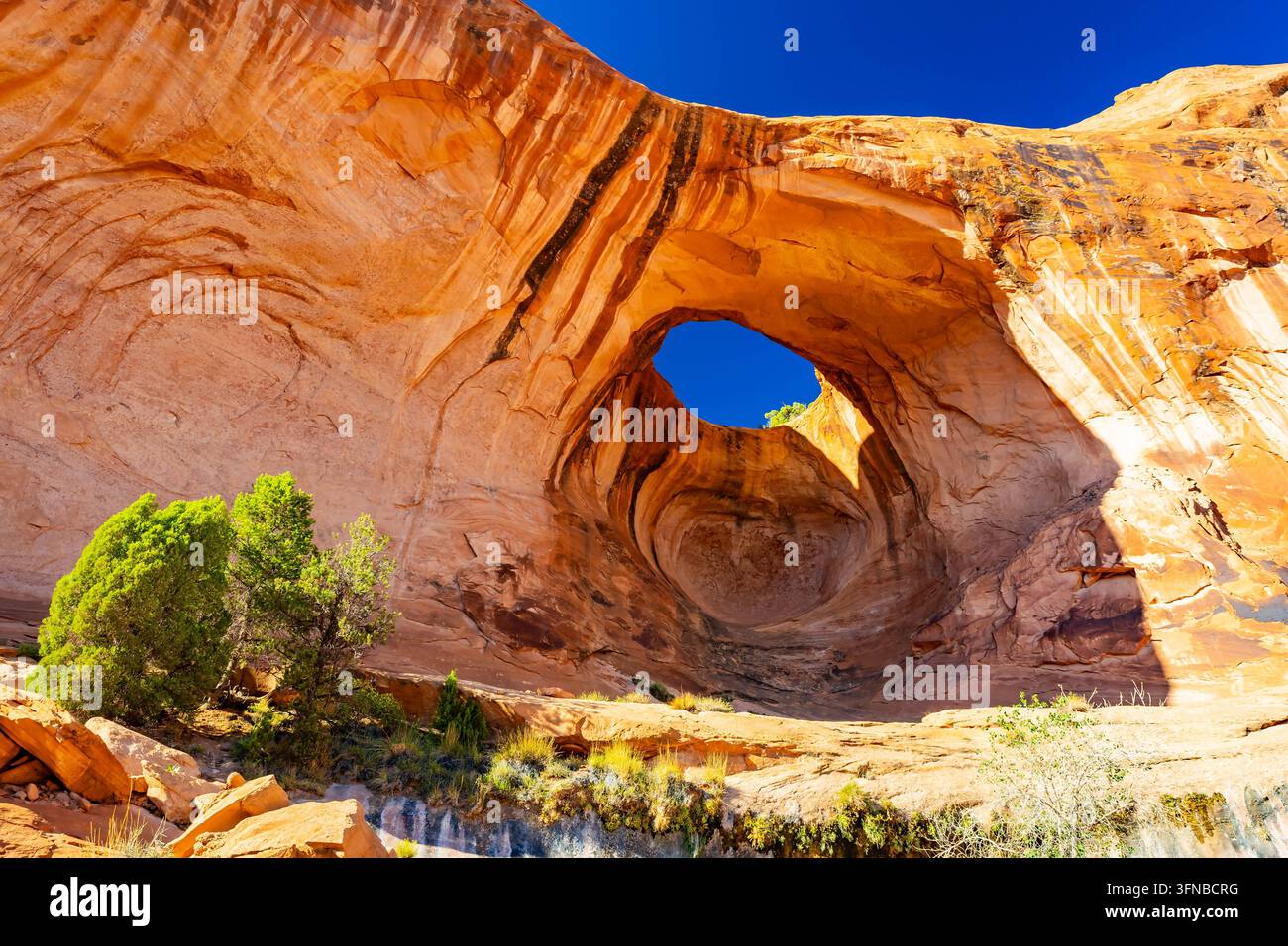 Les randonneurs suivent des sentiers de rocher lisse menant à des formations de tourbillons imposantes le long du sentier panoramique vers l'arc Bowtie près de Moab, Utah Banque D'Images