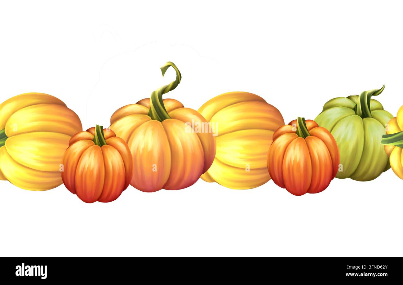 Illustration de bordure sans couture de citrouilles d'automne dessinée à la main Banque D'Images
