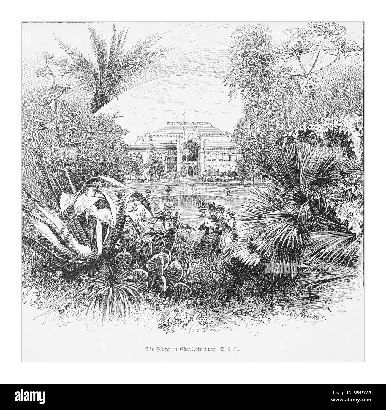 Jardin botanique luxuriant au Palais de Charlottenburg, Berlin, avec des visiteurs élégants au milieu d'une flore exotique, gravure du XIXe siècle. Banque D'Images